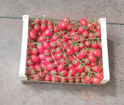 Foto Pomodoro Pixel Origine Italia Confezione in Legno Marchio ''Spatola'' 3