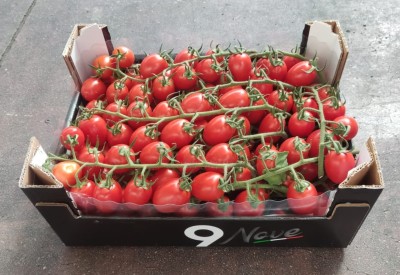 Foto Pomodori Pixel Origine Italia Lavorazione in Cartone  Marchio Nove  1