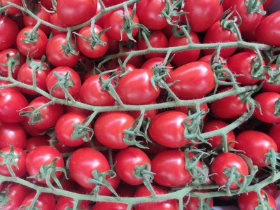 Foto Pomodori Pixel Origine Italia Lavorazione in Cartone  Marchio Nove  2
