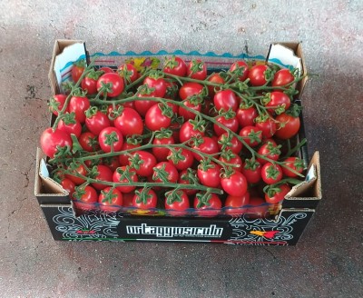 Foto Pomodoro Pixel Origine Italia Marchio Ortaggio Siculo  1