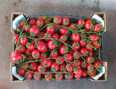 Foto Pomodoro Pixel Origine Italia Marchio Ortaggio Siculo  2