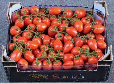 Foto Pomodoro Pixel Origine Italia Marchio 'Sicilias' 1