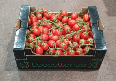 Foto Pomodoro Pixel Origine Italia Marchio Verde Sud  1