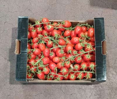 Foto Pomodoro Pixel Origine Italia Marchio Verde Sud  3