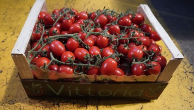 Foto Pomodoro Pixel Origine Italia Marchio Verde Sud 1