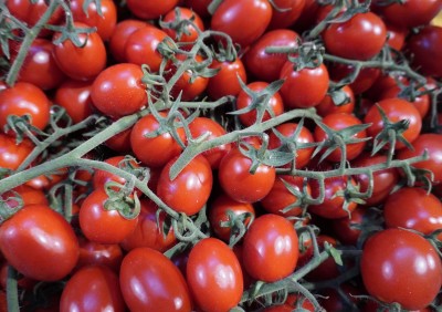 Foto Pomodoro Pixel Origine Italia Marchio Verde Sud 2