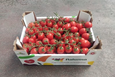 Foto Pomodoro Pixel Origine Italia Marchio Naturosa 1