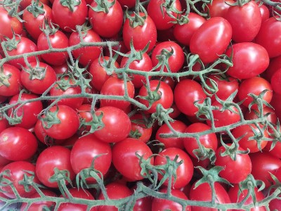 Foto Pomodoro Pixel Origine Italia Marchio Naturosa 2