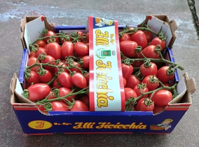 Foto Pomodoro Pixel Origine Italia Marchio Ficicchia  1