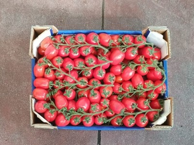 Foto Pomodoro Pixel Origine Italia Marchio M tre  3
