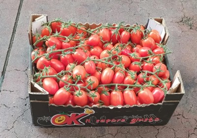 Foto Pomodoro Pixel Origine Italia Marchio Ok Il Sapore Giusto 1
