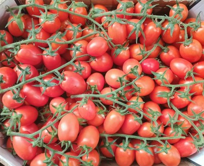 Foto Pomodoro Pixel Origine Italia Marchio Ok Il Sapore Giusto 2