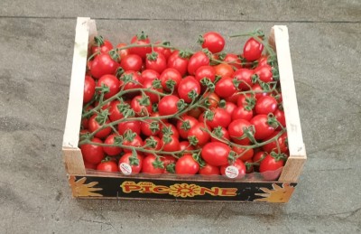 Foto Pomodoro Pixel Origine Italia Marchio Picone  1