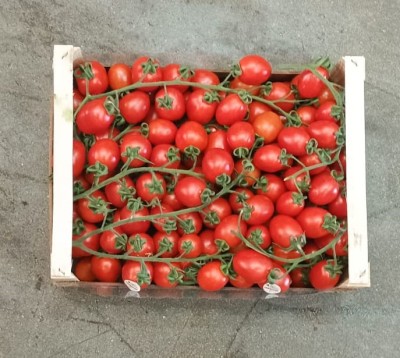 Foto Pomodoro Pixel Origine Italia Marchio Picone  3