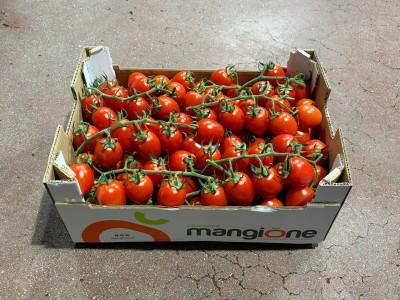 Foto Pomodoro Pixel Origine Italia Marchio Mangione      1