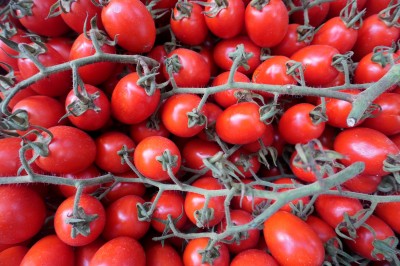 Foto Pomodoro Pixel Origine Italia Marchio Tolaro      2