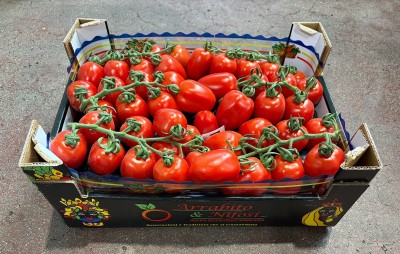 Foto Pomodoro Pixel Origine Italia Marchio Arrabito 1