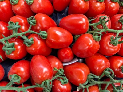 Foto Pomodoro Pixel Origine Italia Marchio Arrabito 2