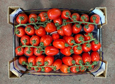 Foto Pomodoro Pixel Origine Italia Marchio Arrabito 3