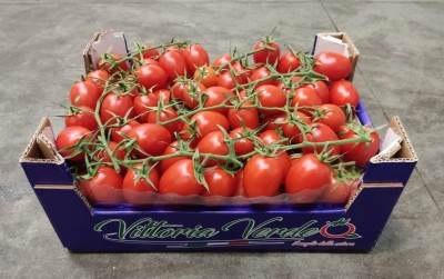 Foto Pomodoro Pixel Origine Italia Marchio Vittoria Verde 1