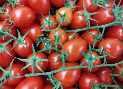 Foto Pomodoro Pixel Origine Italia Marchio Vittoria Verde 2