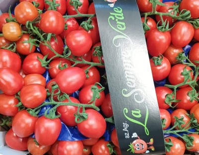 Foto Pomodoro Pixel Origine Italia Marchio Sempre Verde  2