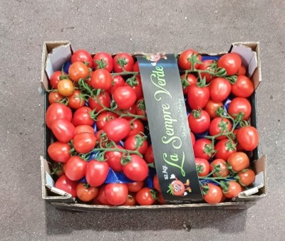 Foto Pomodoro Pixel Origine Italia Marchio Sempre Verde  3