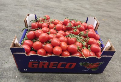 Foto Pomodoro Pixel Origine Italia Marchio Greco 1
