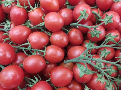 Foto Pomodoro Pixel Origine Italia Marchio Greco 2