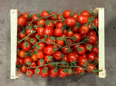 Foto Pomodoro Pixel Origine Italia Marchio Di Pietro 3