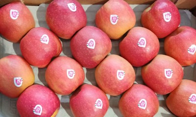 Foto Mele Varietà Pink Lady Cartone Calibro 80/85 Confezione da 16 Frutti 2