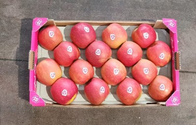 Foto Mele Varietà Pink Lady Cartone Calibro 80/85 Confezione da 16 Frutti 3