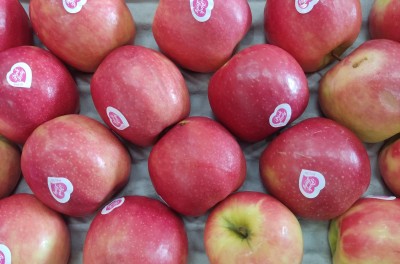 Foto Pink Lady Origine Italia Marchio Pink Lady 2