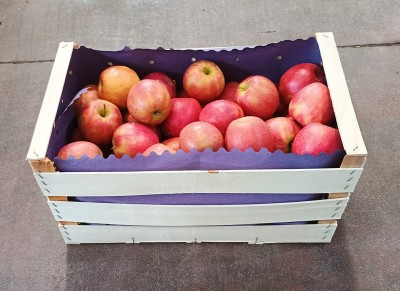 Foto Mele Cripps Calibro 80/85 Origine Italia Marchio Coe 1