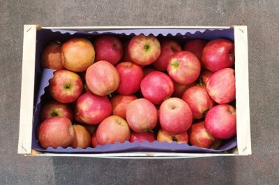 Foto Mele Cripps Calibro 80/85 Origine Italia Marchio Coe 3