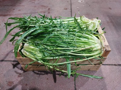 Foto Puntarelle Origine Italia Marchio Allocca 1