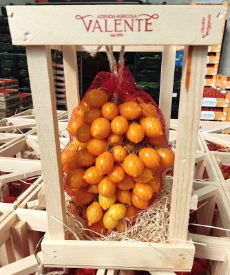Foto Pomodoro Piennolo Origine Italia Marchio Valente 2