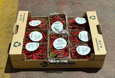 Foto Peperoncini Piccanti Confezione da 8 Vaschette da 100 gr Origine Sud Africa Marchio Mc Garlet  1