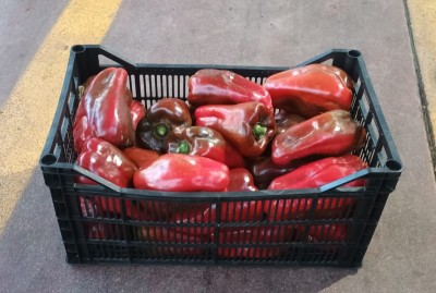 Foto Peperoni Rossi Origine Spagna Confezione in Plastica Marchio Agriroma  1