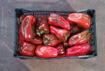 Foto Peperoni Rossi Origine Spagna Confezione in Plastica Marchio Agriroma  3