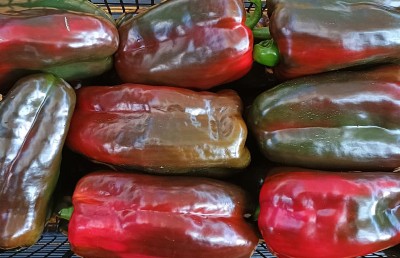 Foto Peperoni Rossi Origine Italia Marchio Arrabito E Nifosi 2