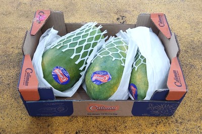 Foto Papaya Formosa Calibro 3 Origine Brasile Marchio Caliman   1