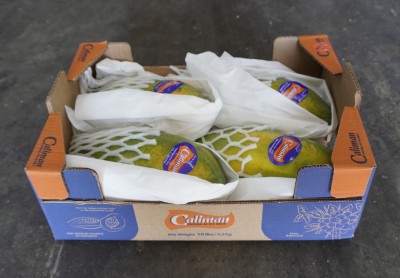 Foto Papaya Varietà Formosa Calibro 4 Origine Brasile Marchio Caliman 1