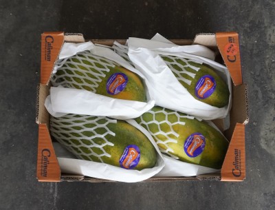 Foto Papaya Varietà Formosa Calibro 4 Origine Brasile Marchio Caliman 3