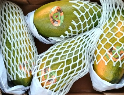 Foto Papaya Calibro 4 Origine Brasile Marchio Feline 2