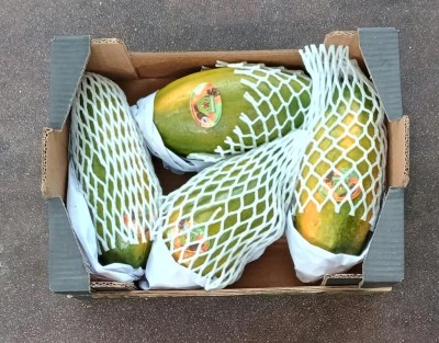 Foto Papaya Calibro 4 Origine Brasile Marchio Feline 3