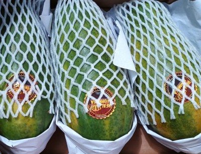 Foto Papaya Calibro 3 Origine Brasile Marchio Real Formosa 2