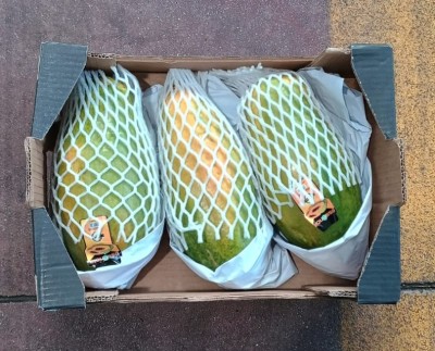 Foto Papaya Varietà Formosa Calibro 3 Origine Brasile Marchio Essencia  3