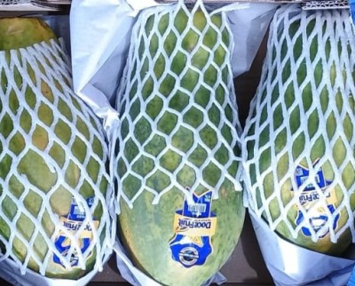 Foto Papaya Calibro 3 Origine Brasile Marchio Song River 2