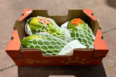 Foto Papaya Varietà Formosa Calibro 3 Origine Brasile Marchio Agc 1